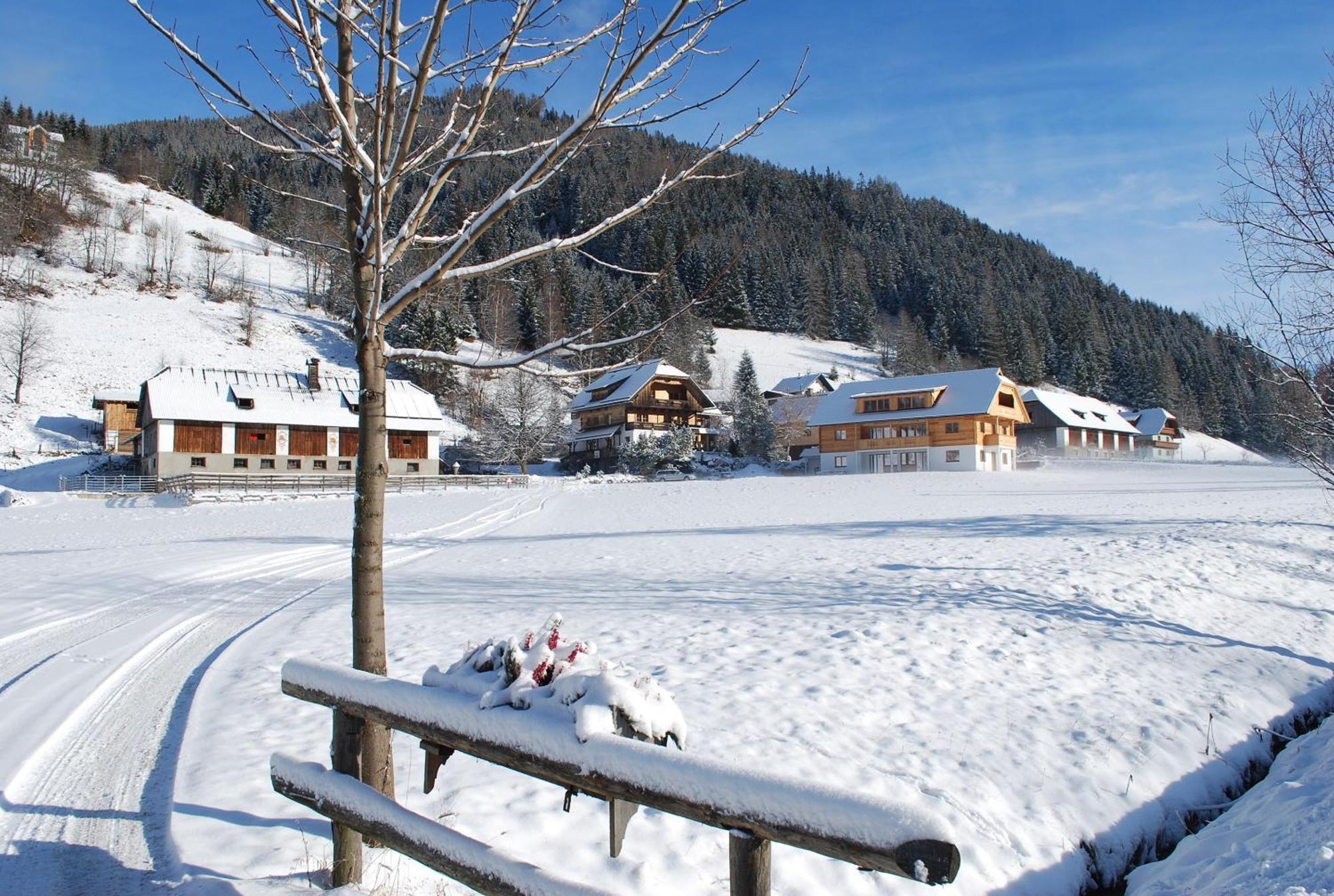 Biohof Seidl Apartment Bad Kleinkirchheim Exterior photo